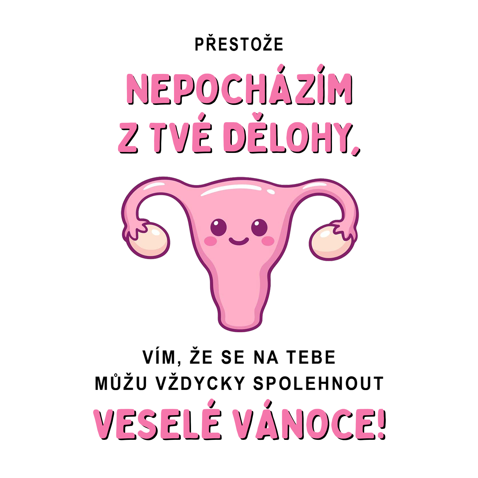 Nepochazim ze tve - CSEH.webp